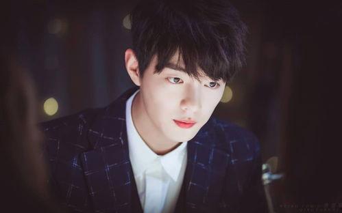 娱乐圈吃瓜明星代号肖战,娱乐圈神秘吃瓜明星的崛起之路