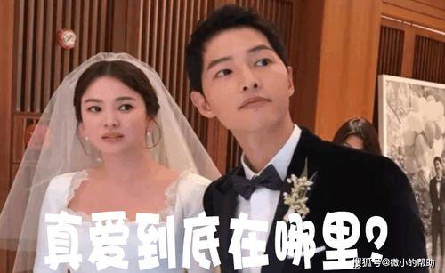 娱乐圈吃瓜手册事件,揭秘娱乐圈背后的真相与争议